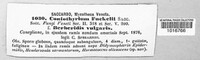 Coniothyrium fuckelii image
